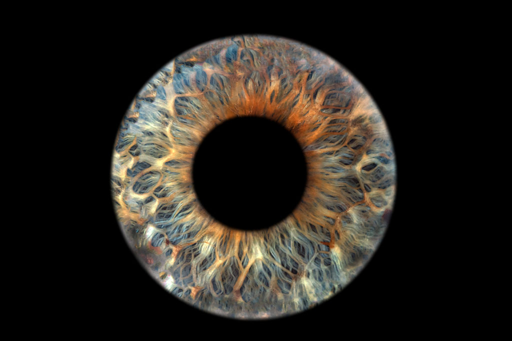 Irisfoto aus Frankfurt