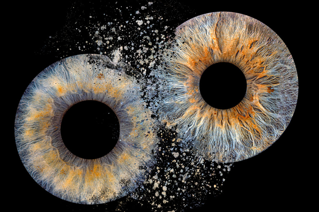 Irisfoto Galerie - Eine Sammlung von Flatfields schönsten Irisfotos