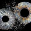 Irisfotografie von Flatfield - dem Original Irisfotografen aus Frankfurt