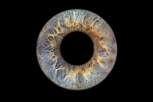 Irisfoto / Irisfotografie