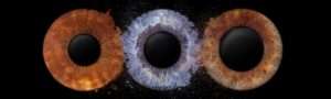 Iris Fotografie | Iris Fotos | Augen Fotografie 3er Panorama