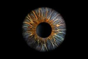 Irisfoto / Irisfotografie