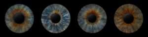 Iris Fotografie | Iris Fotos | Augen Fotografie
