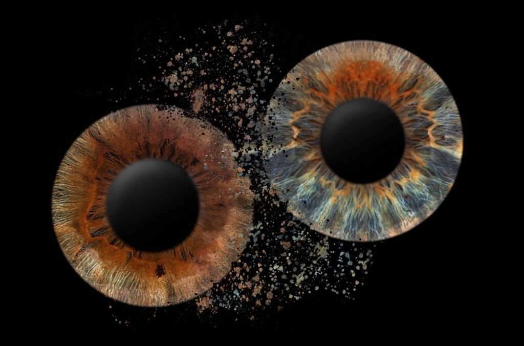 Iris Fotografie Beispiel