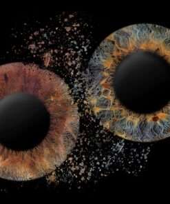 Iris Fotografie Beispiel