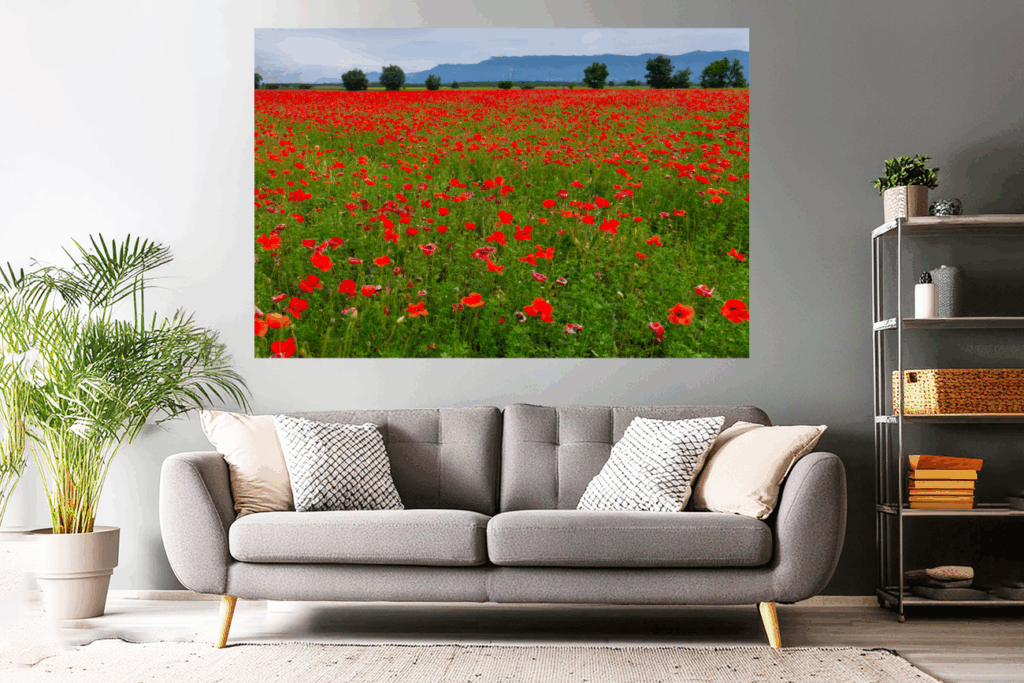 Landschaftsfoto kaufen | Wandbild / Poster