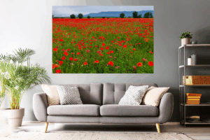 Landschaftsfoto kaufen | Wandbild / Poster