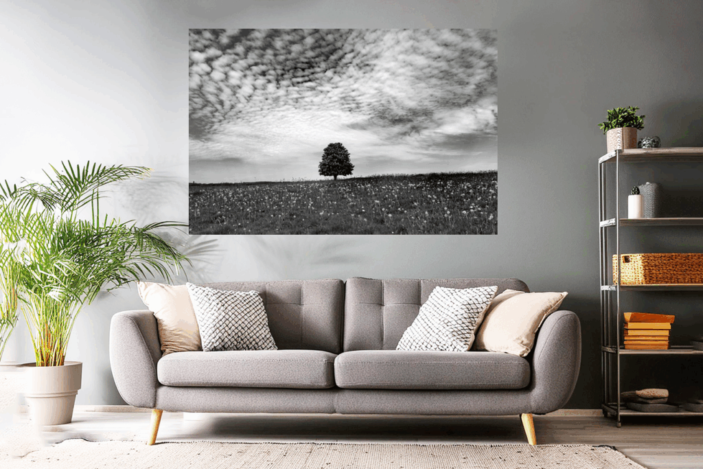 Landschaftsfoto kaufen | Wandbild / Poster